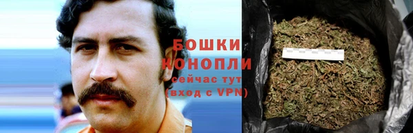 дмт Дмитриев