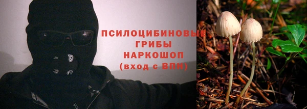 дурь Ханты-Мансийск