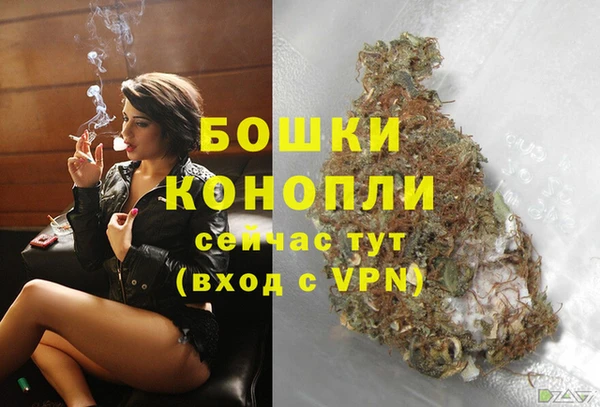 амф Дмитровск