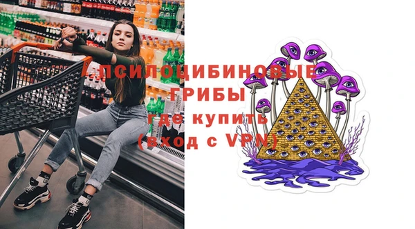 амф Дмитровск