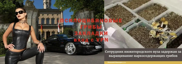 амф Дмитровск